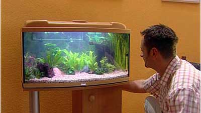 Fische