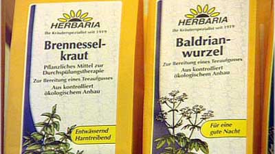 Ernten und Verarbeiten